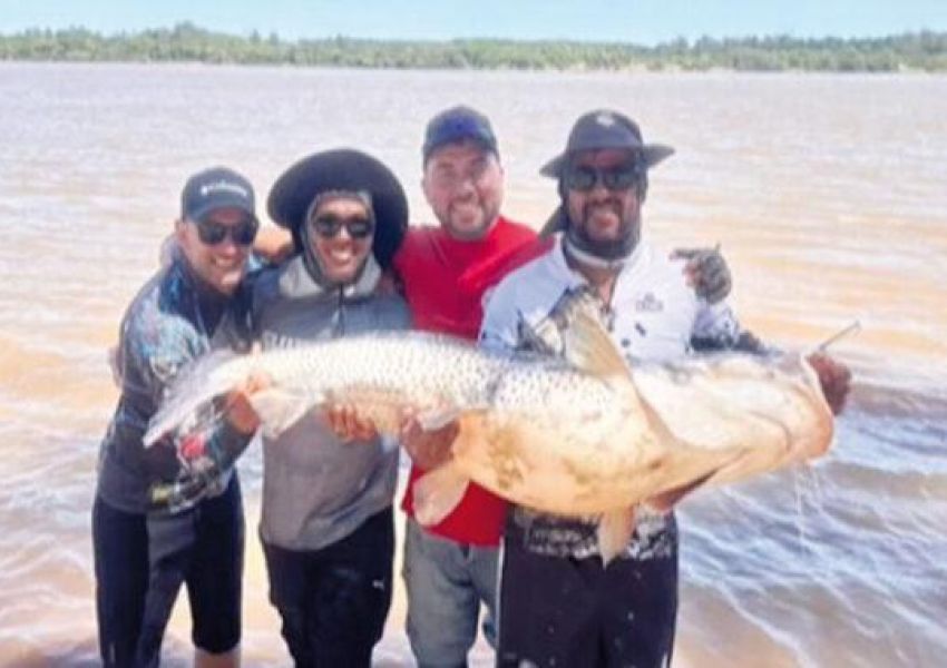 Pescaron un enorme surubí en el río Uruguay frente a Concordia